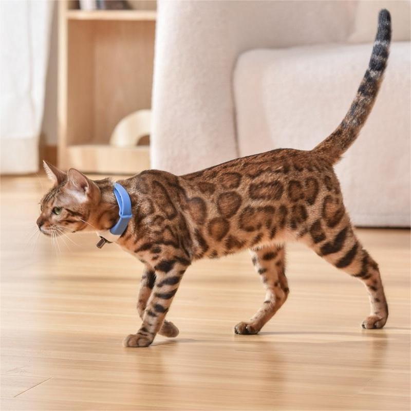 USB Rechargeable Cat Laser Collar Toy