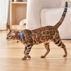 USB Rechargeable Cat Laser Collar Toy